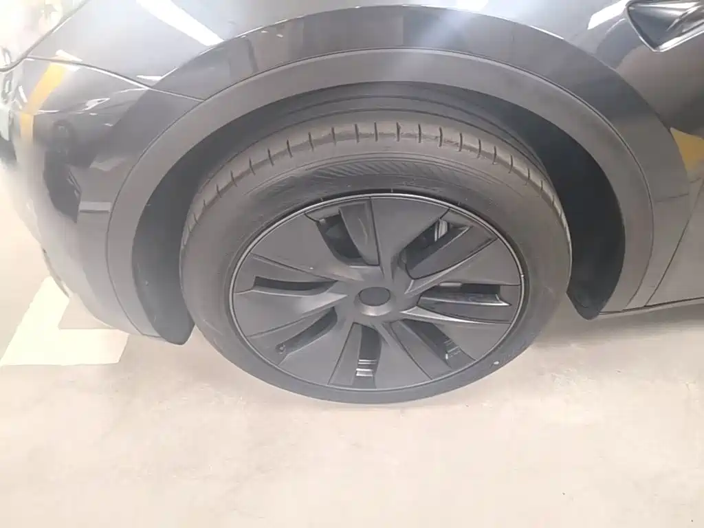 Tesla Model Y — фото 23