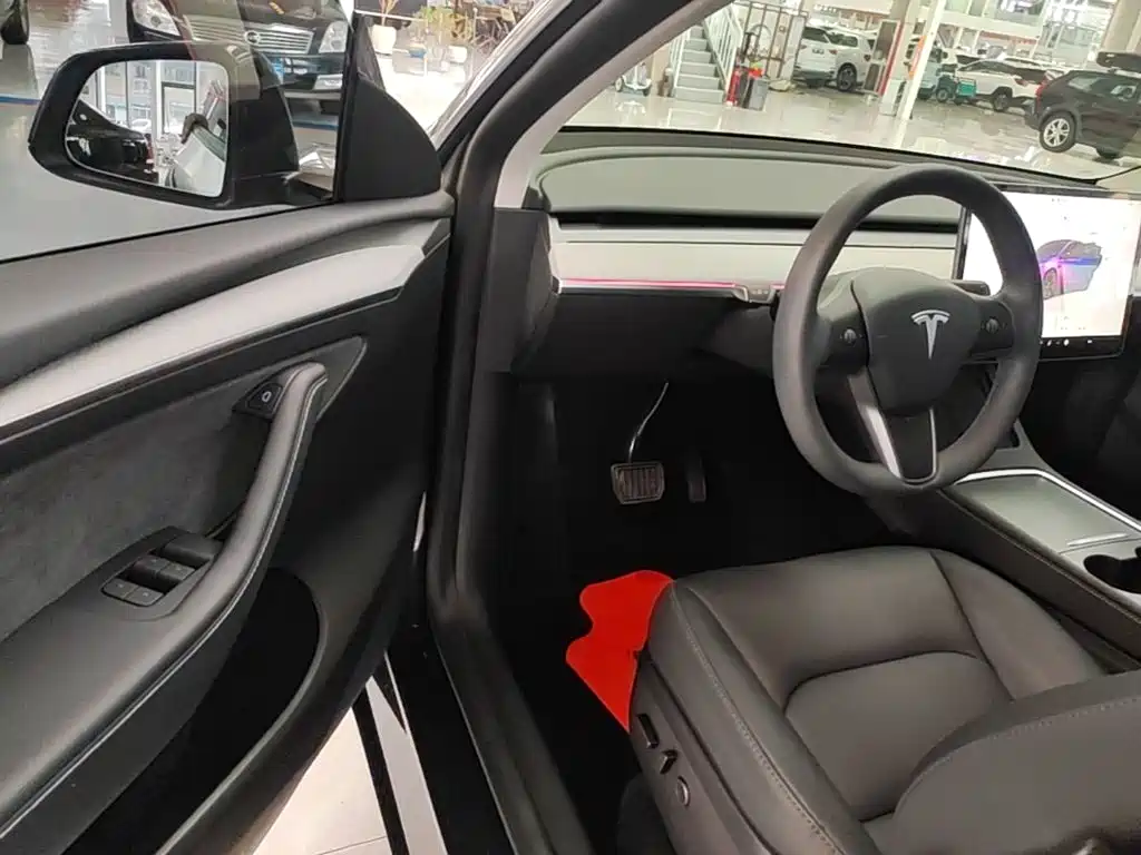 Tesla Model Y — фото 16