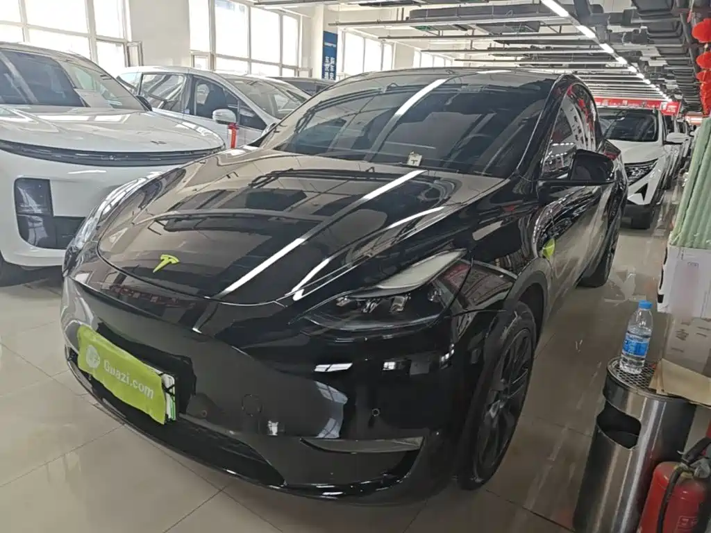 Tesla Model Y — фото 2