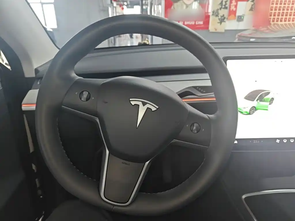 Tesla Model Y — фото 11