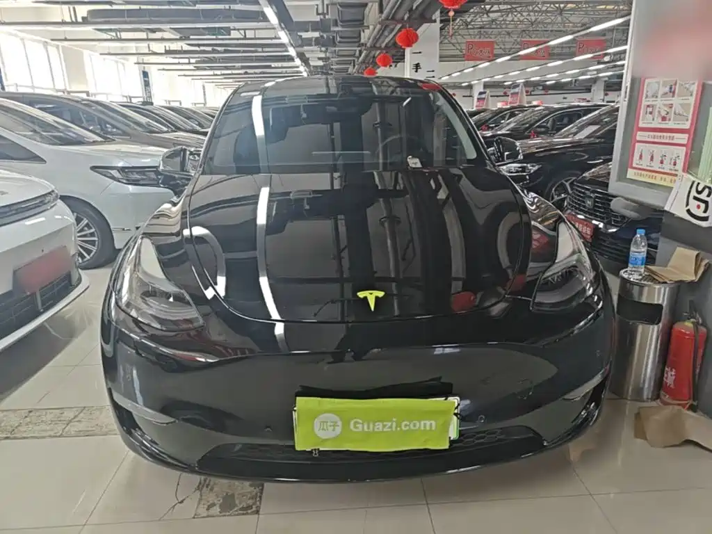 Tesla Model Y — фото 3