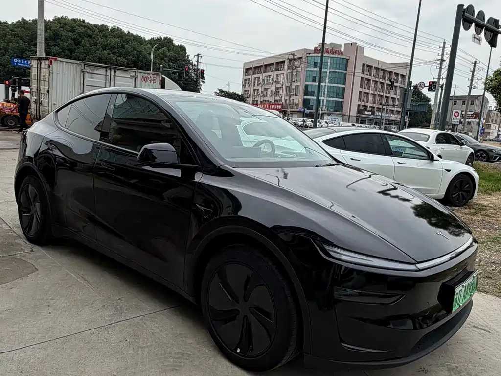Tesla Model Y — фото 3