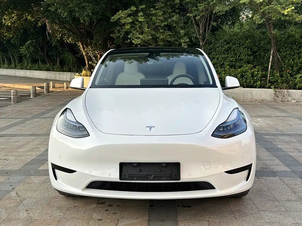 Tesla Model Y — фото 2