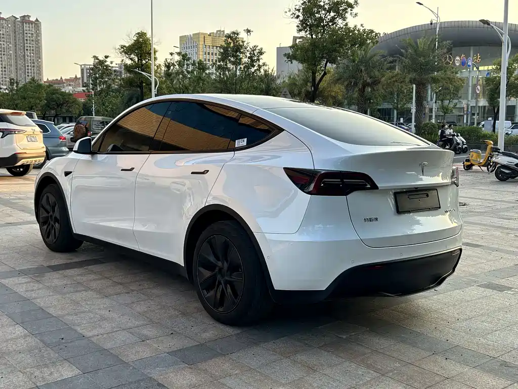 Tesla Model Y — фото 7