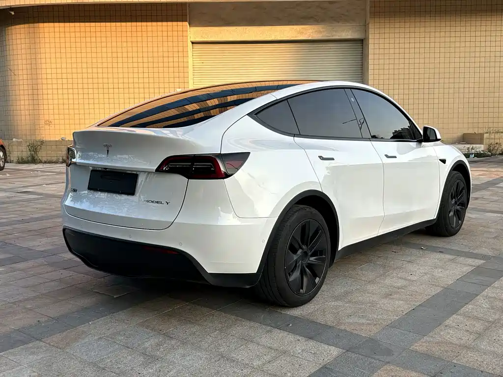 Tesla Model Y — фото 9