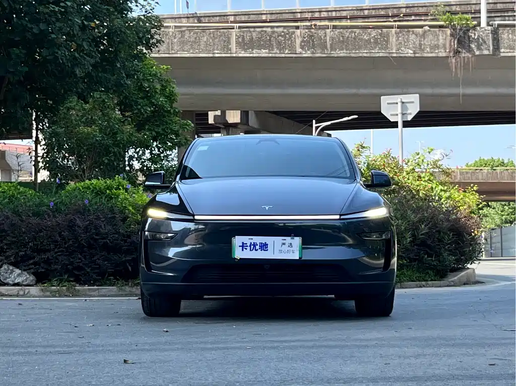 Tesla Model Y — фото 2
