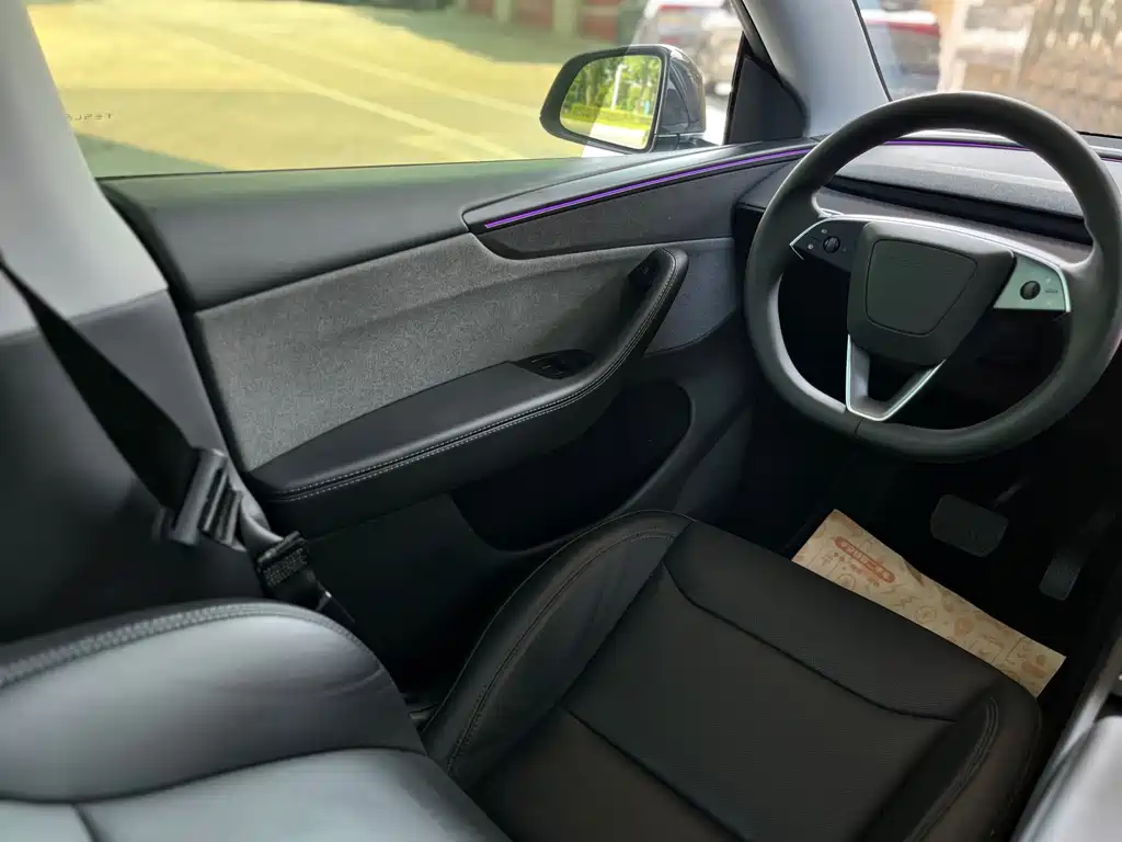 Tesla Model Y — фото 15
