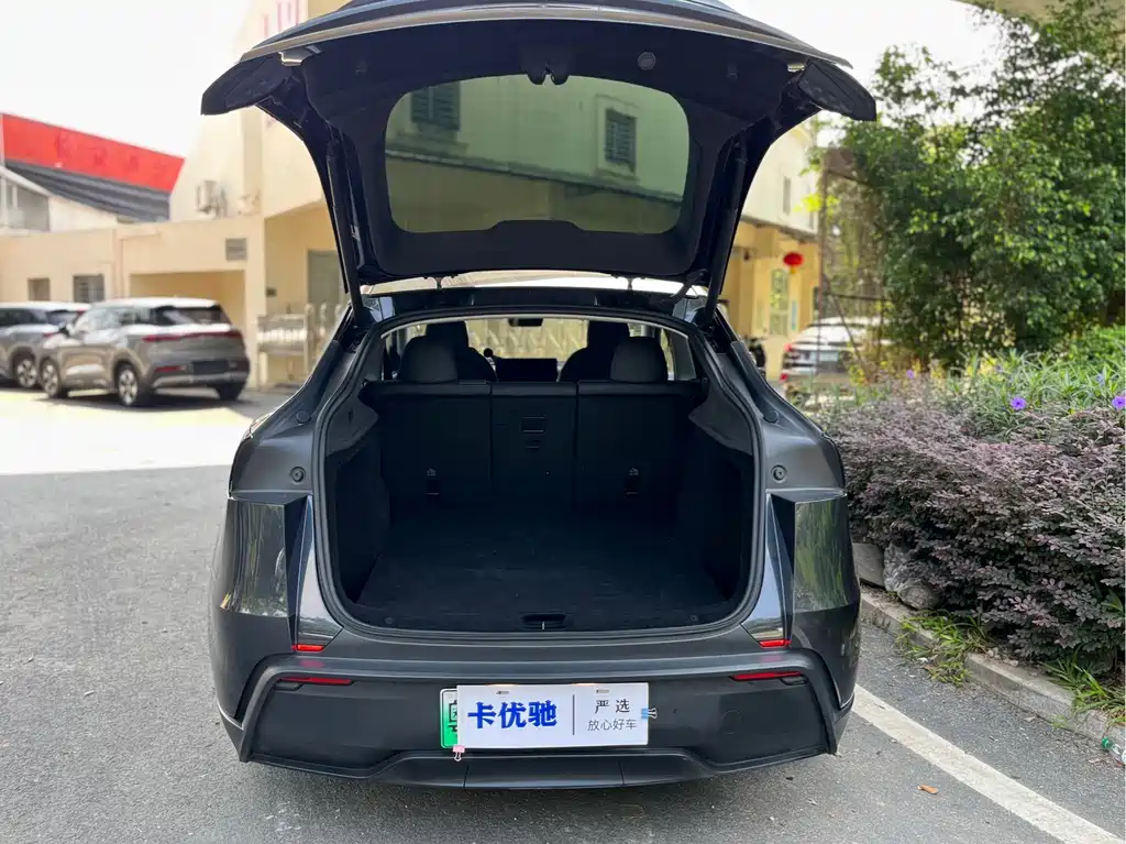 Tesla Model Y — фото 29