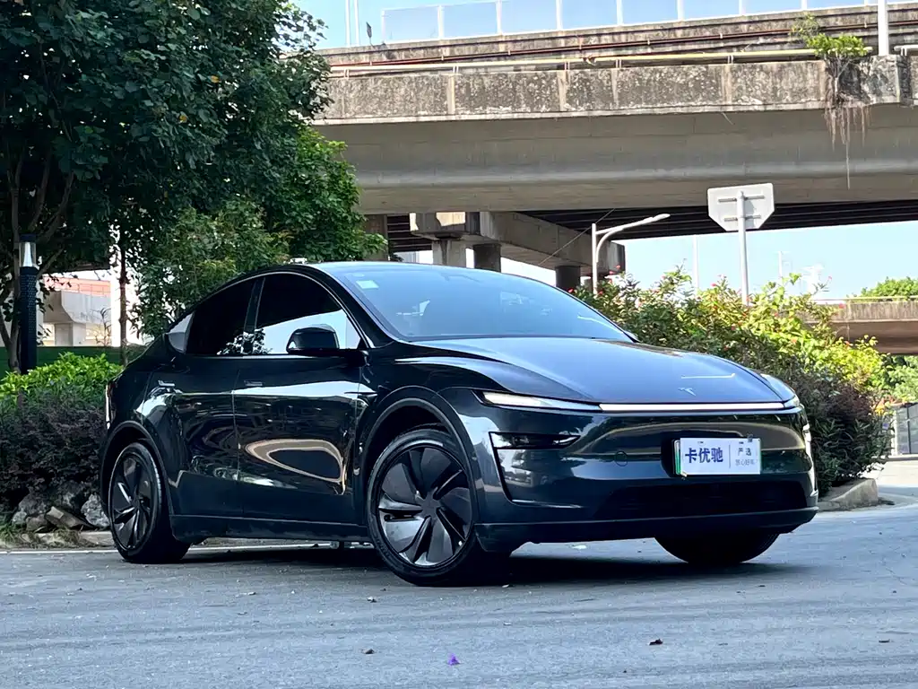 Tesla Model Y — фото 10