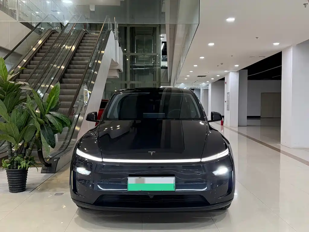 Tesla Model Y — фото 2