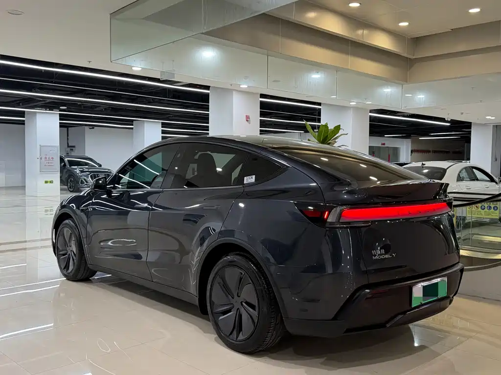 Tesla Model Y — фото 9