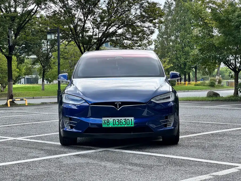 Tesla Model X — фото 2