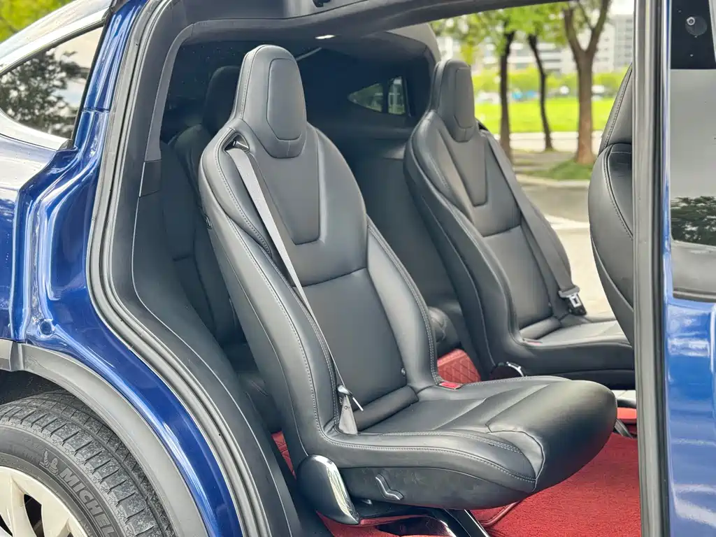 Tesla Model X — фото 13