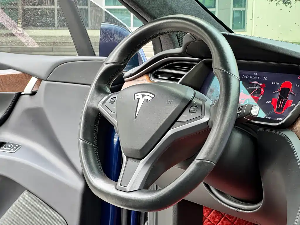 Tesla Model X — фото 15