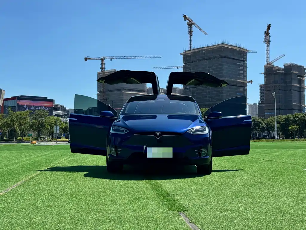 Tesla Model X — фото 17
