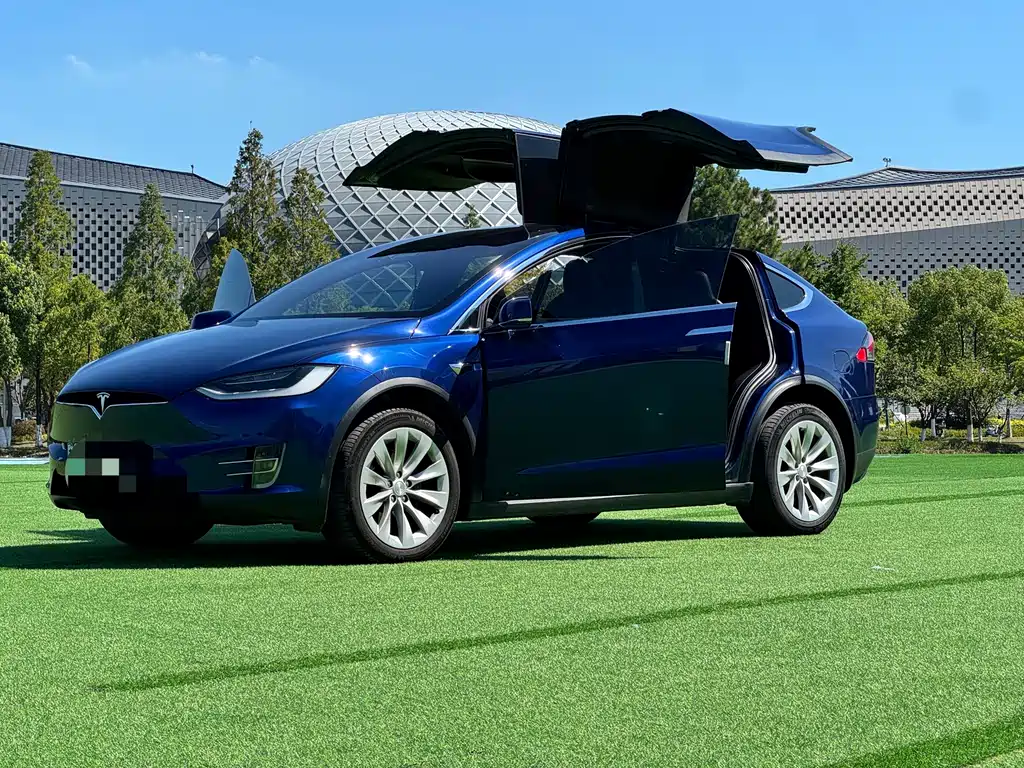 Tesla Model X — фото 18