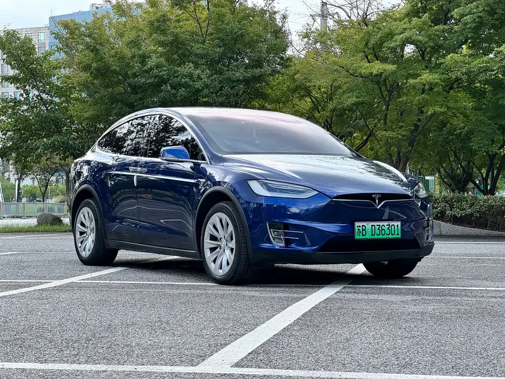 Tesla Model X — фото 3