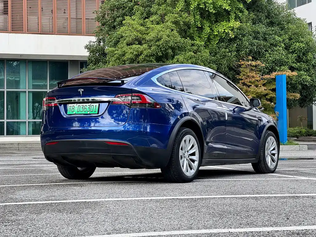 Tesla Model X — фото 6