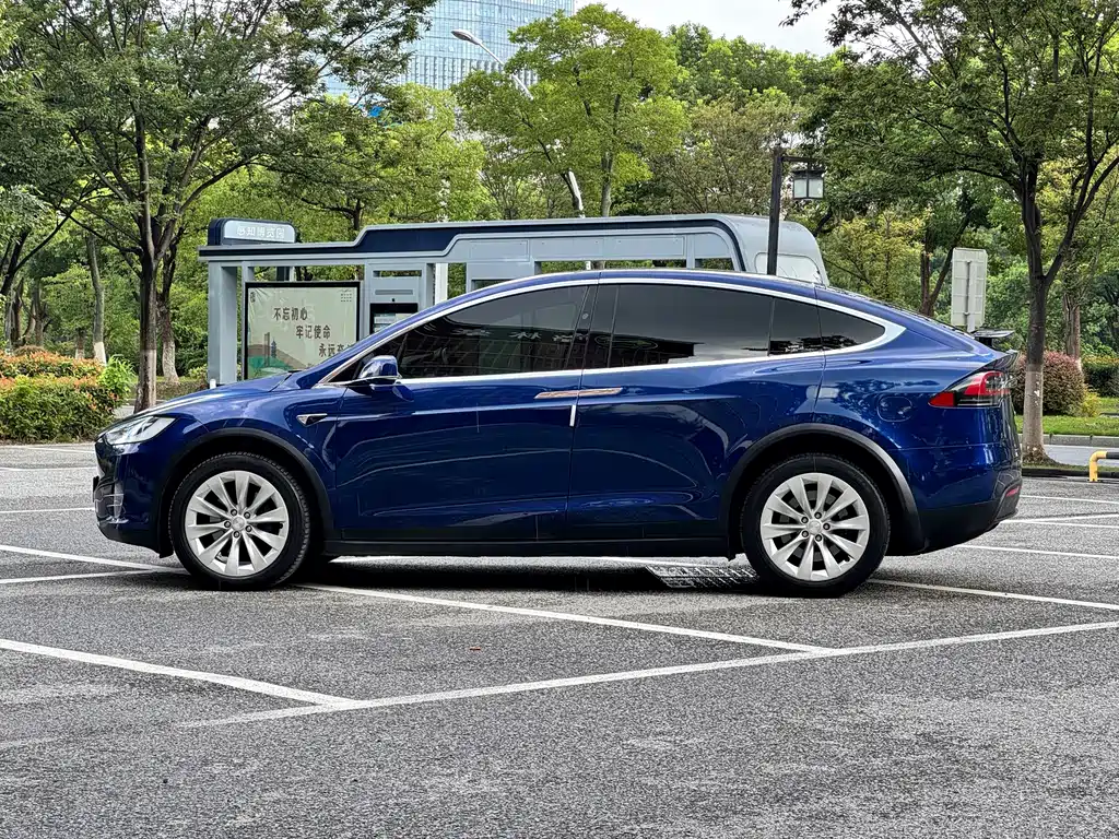 Tesla Model X — фото 7