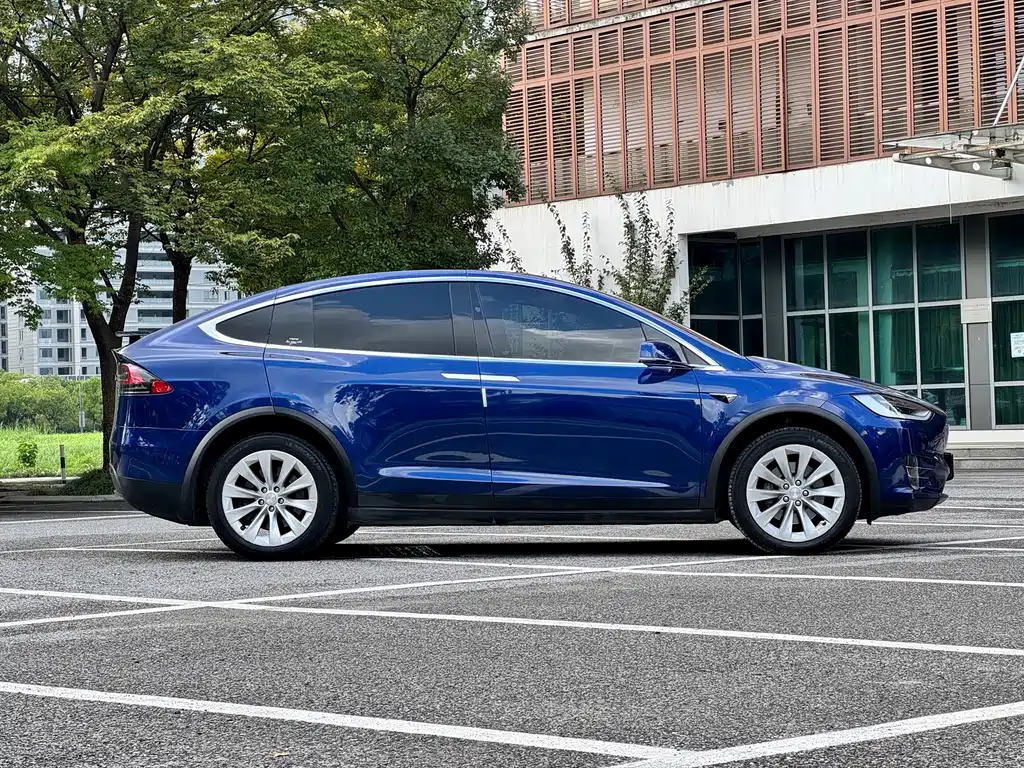 Tesla Model X — фото 8