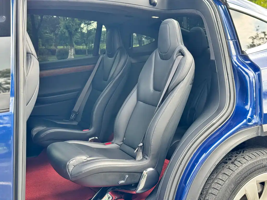 Tesla Model X — фото 10