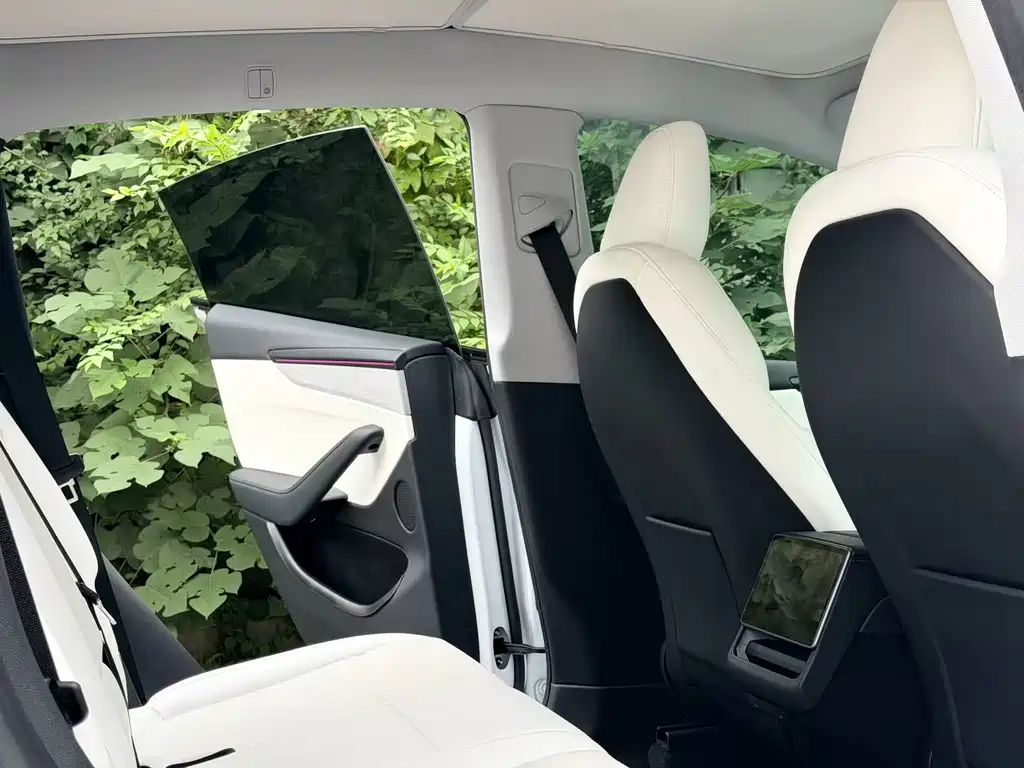Tesla Model Y — фото 5