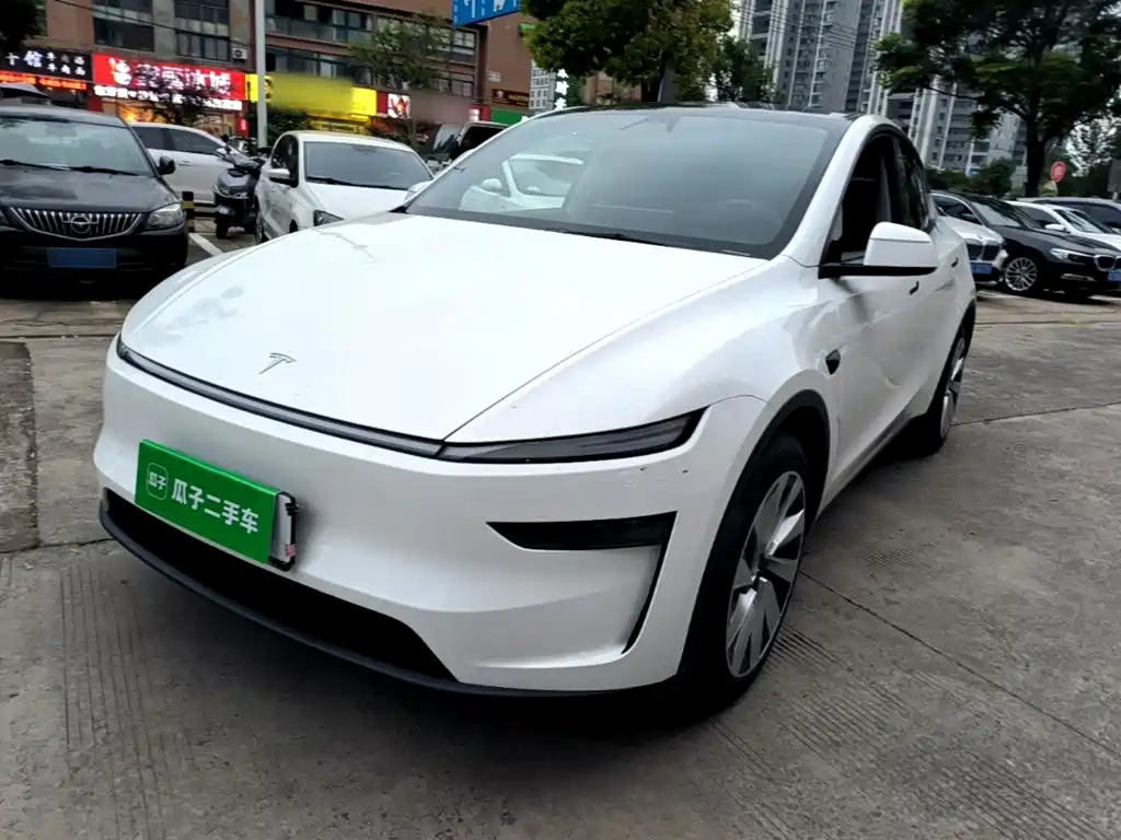 Tesla Model Y — фото 2