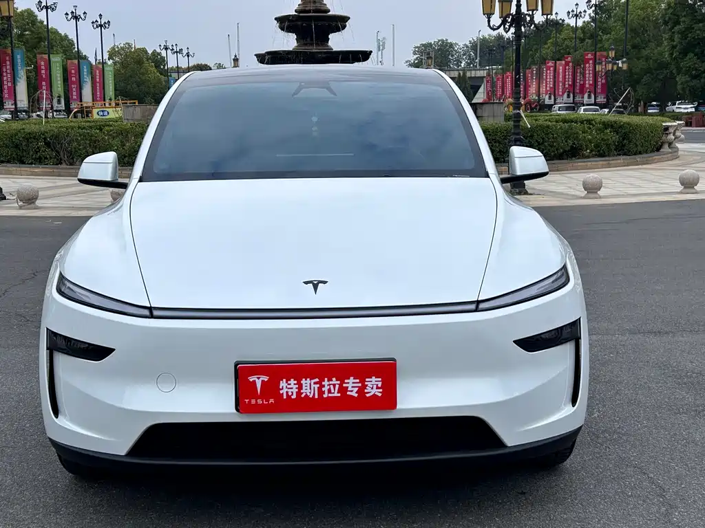 Tesla Model Y — фото 2