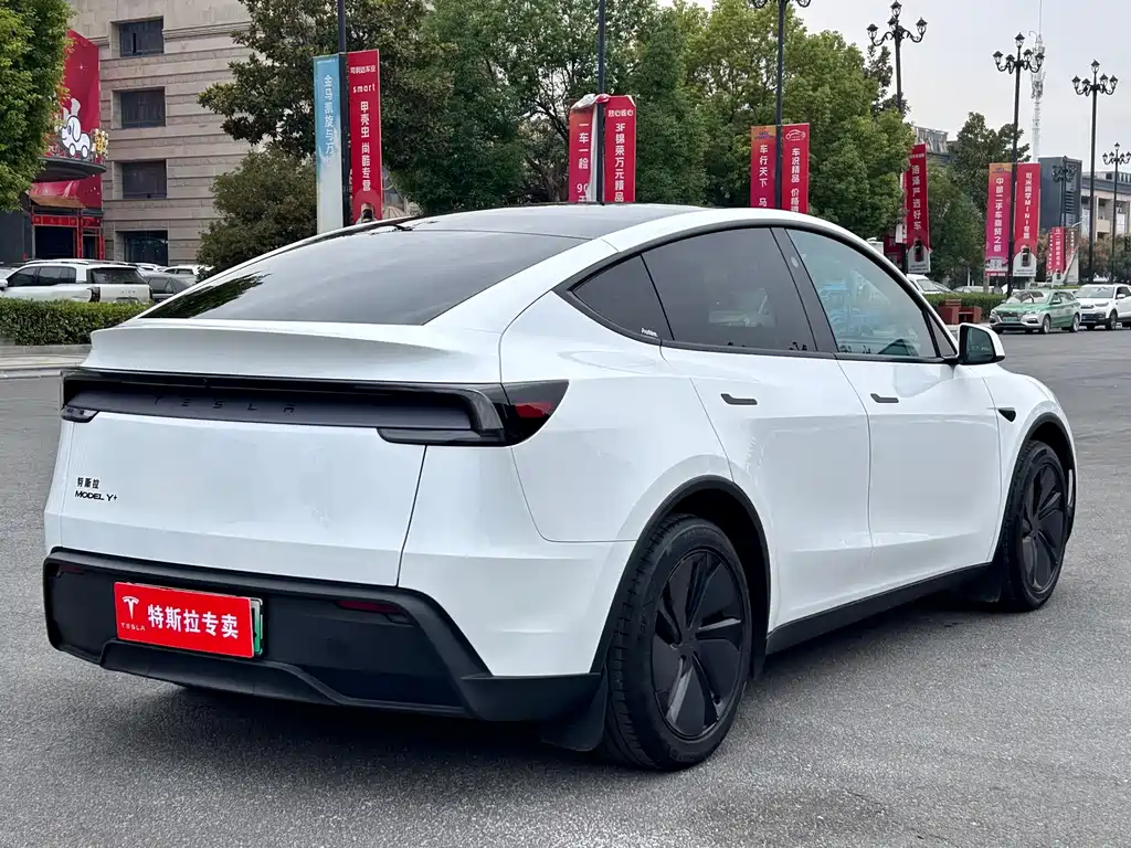 Tesla Model Y — фото 11