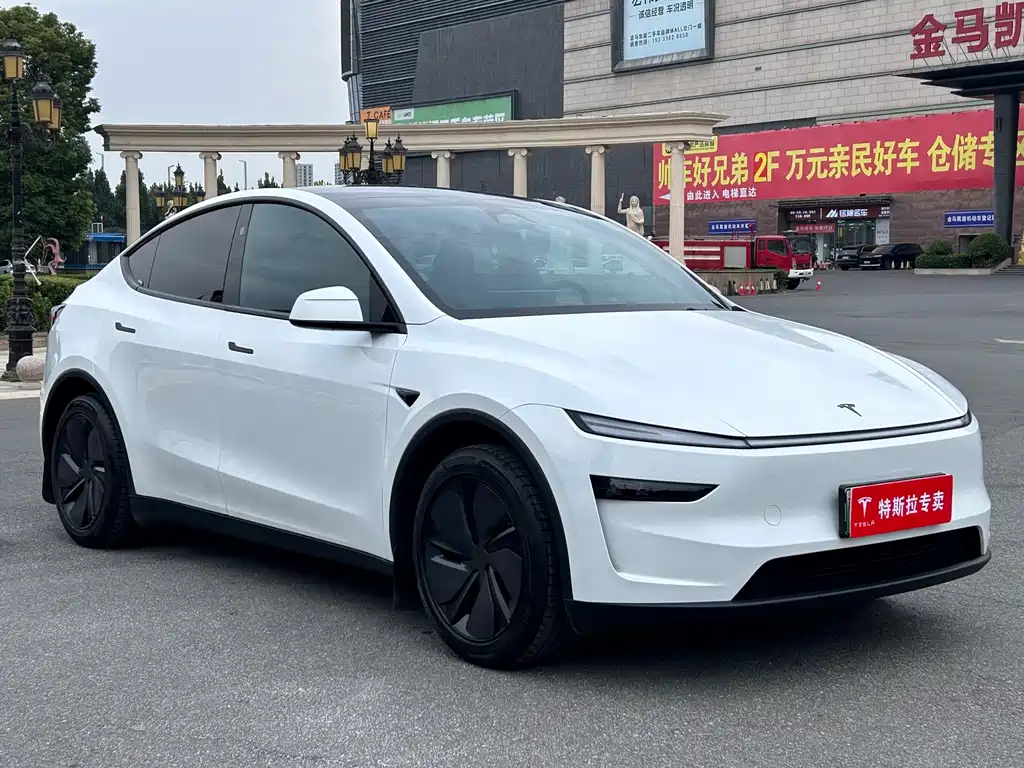 Tesla Model Y — фото 3