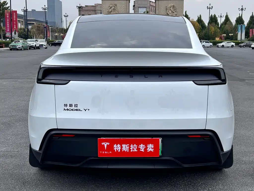 Tesla Model Y — фото 9
