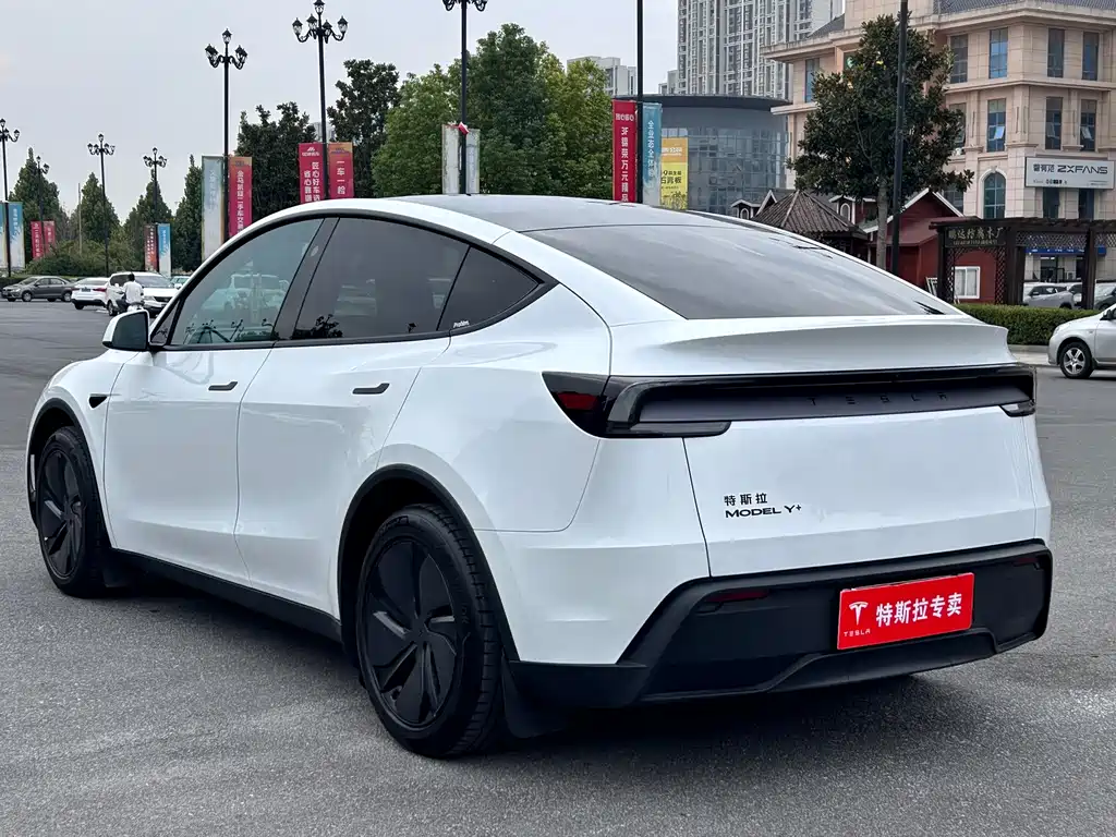 Tesla Model Y — фото 10