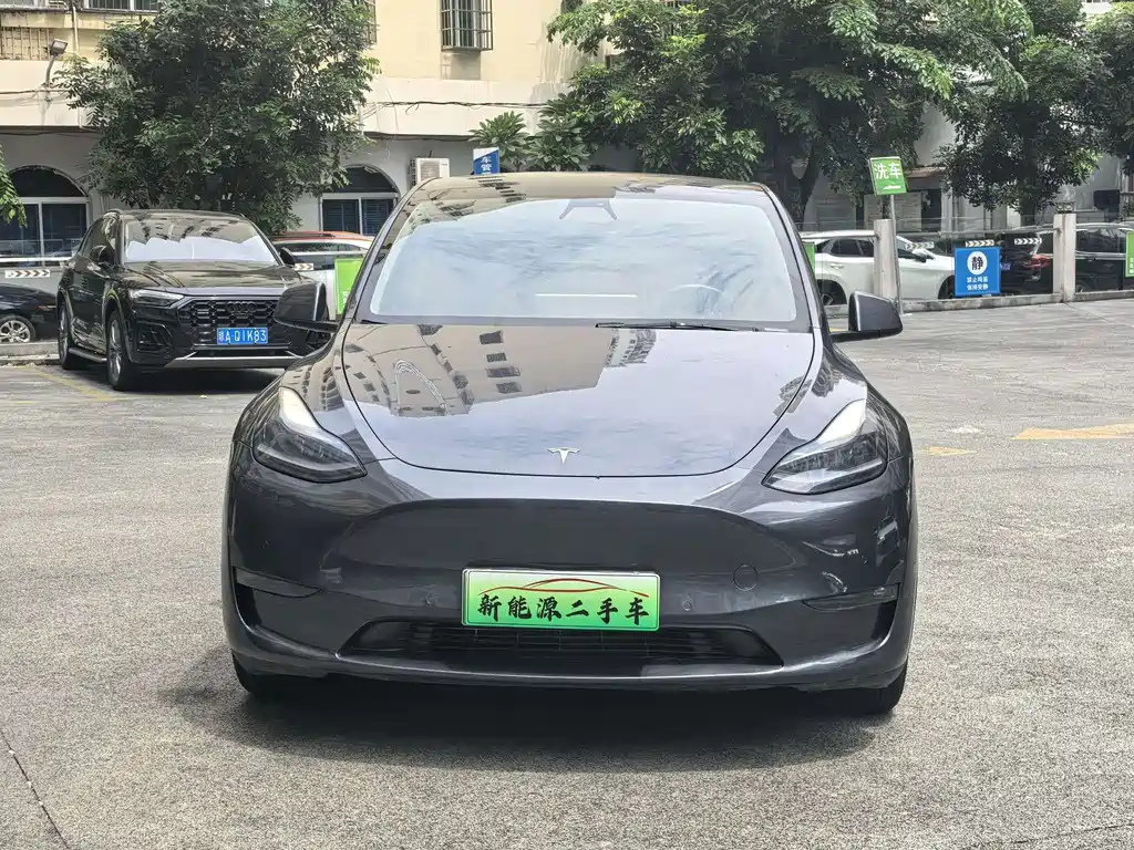 Tesla Model Y — фото 2