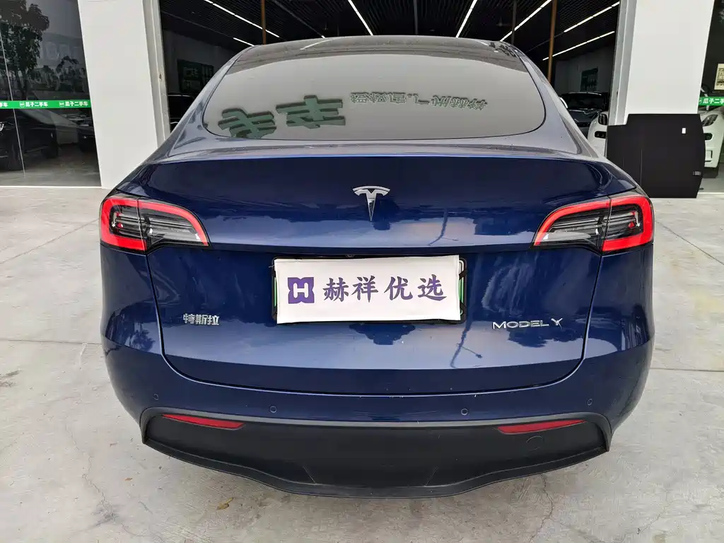 Tesla Model Y — фото 14