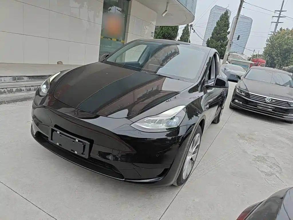 Tesla Model Y — фото 2