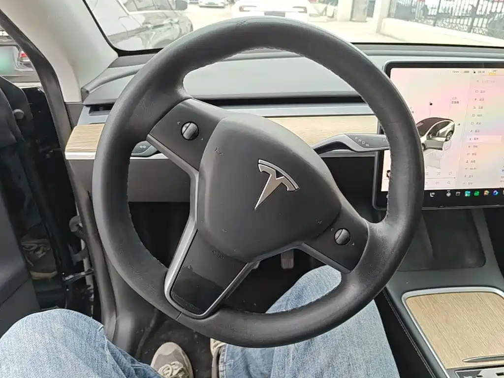 Tesla Model Y — фото 11