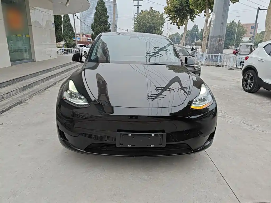Tesla Model Y — фото 3