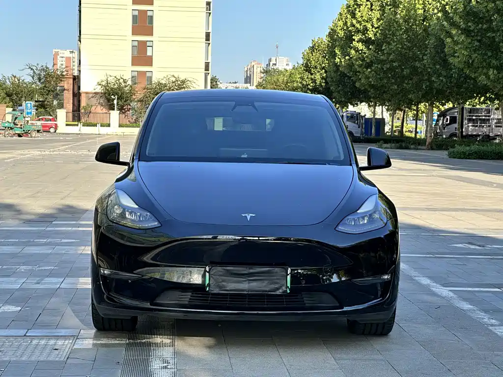 Tesla Model Y — фото 2