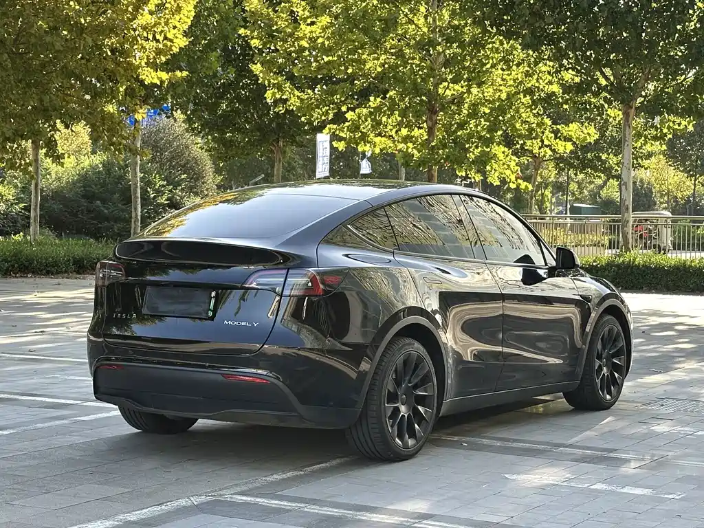 Tesla Model Y — фото 11