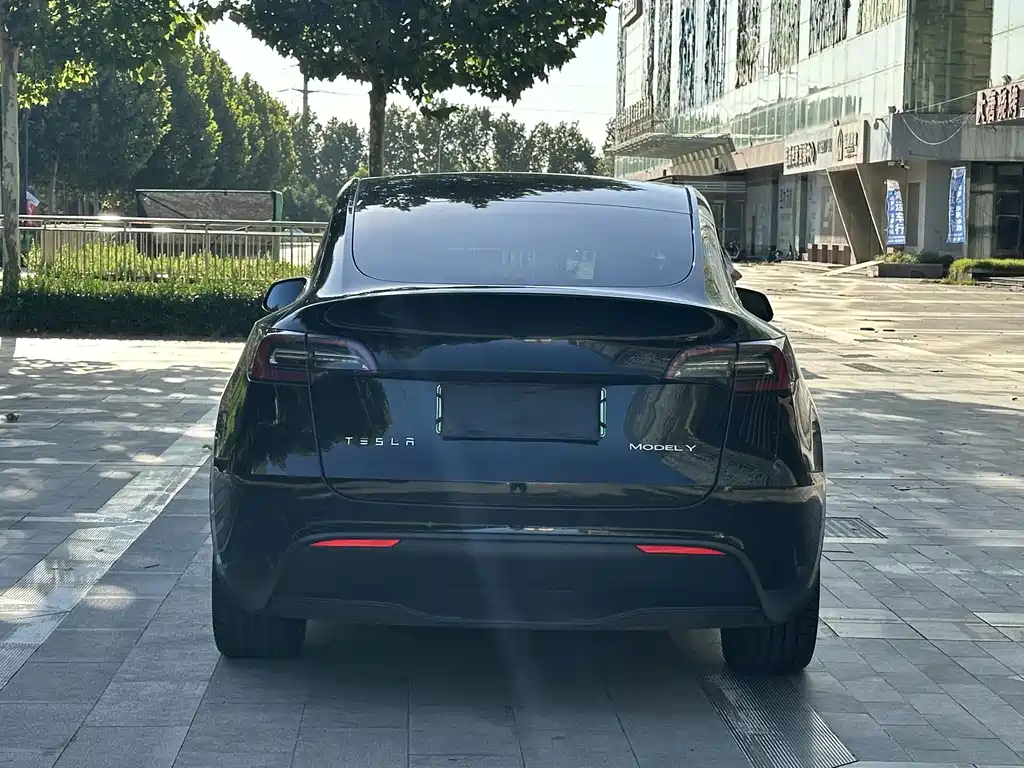 Tesla Model Y — фото 12