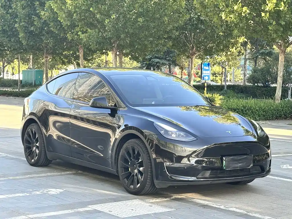 Tesla Model Y — фото 3