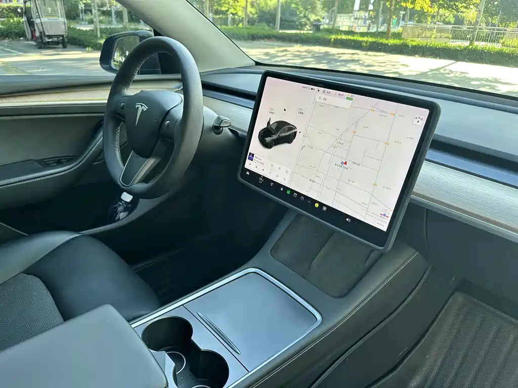 Tesla Model Y — фото 9