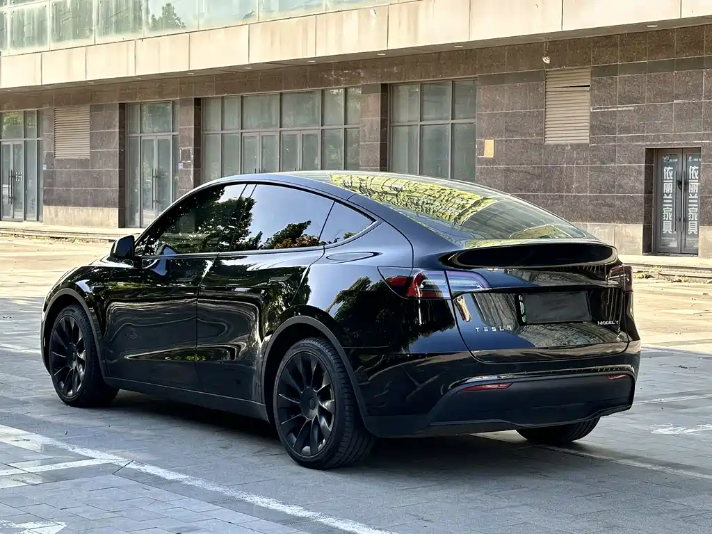 Tesla Model Y — фото 10