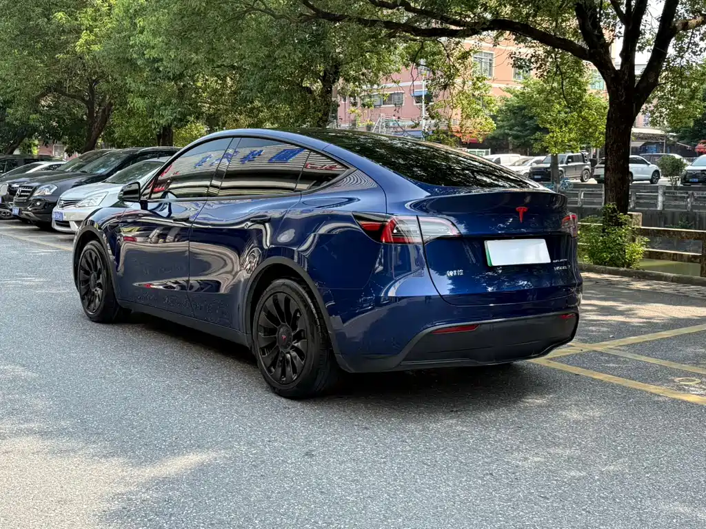 Tesla Model Y — фото 2