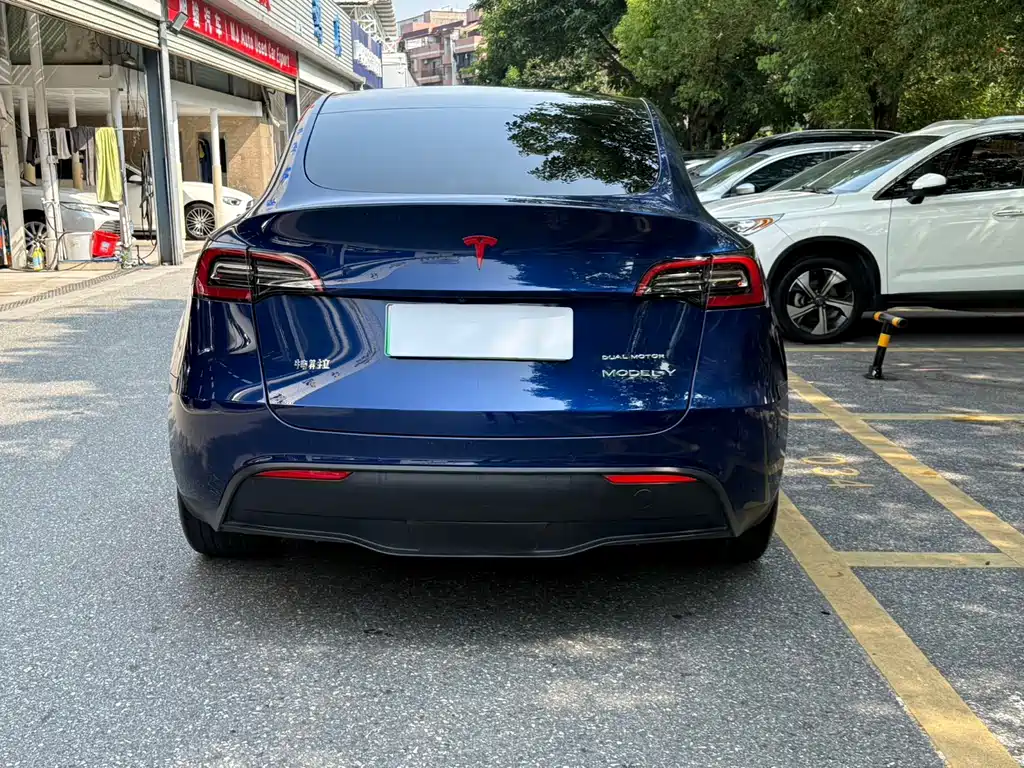 Tesla Model Y — фото 3