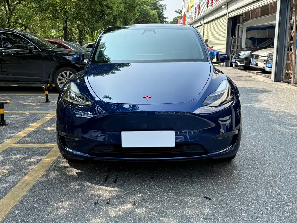 Tesla Model Y — фото 4