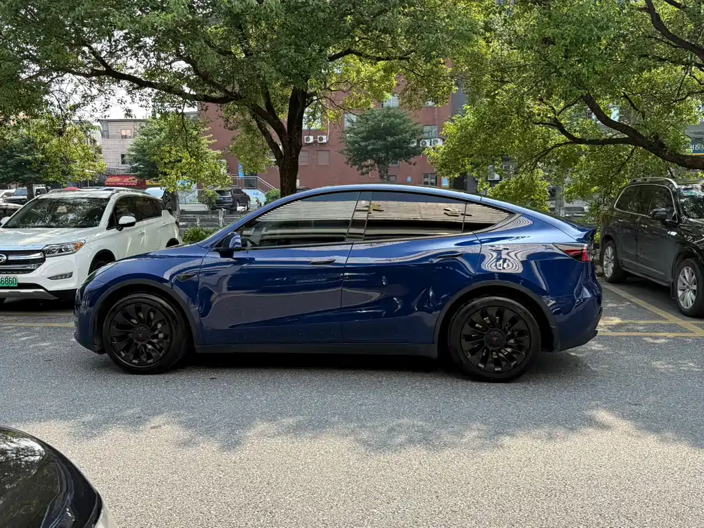 Tesla Model Y — фото 6