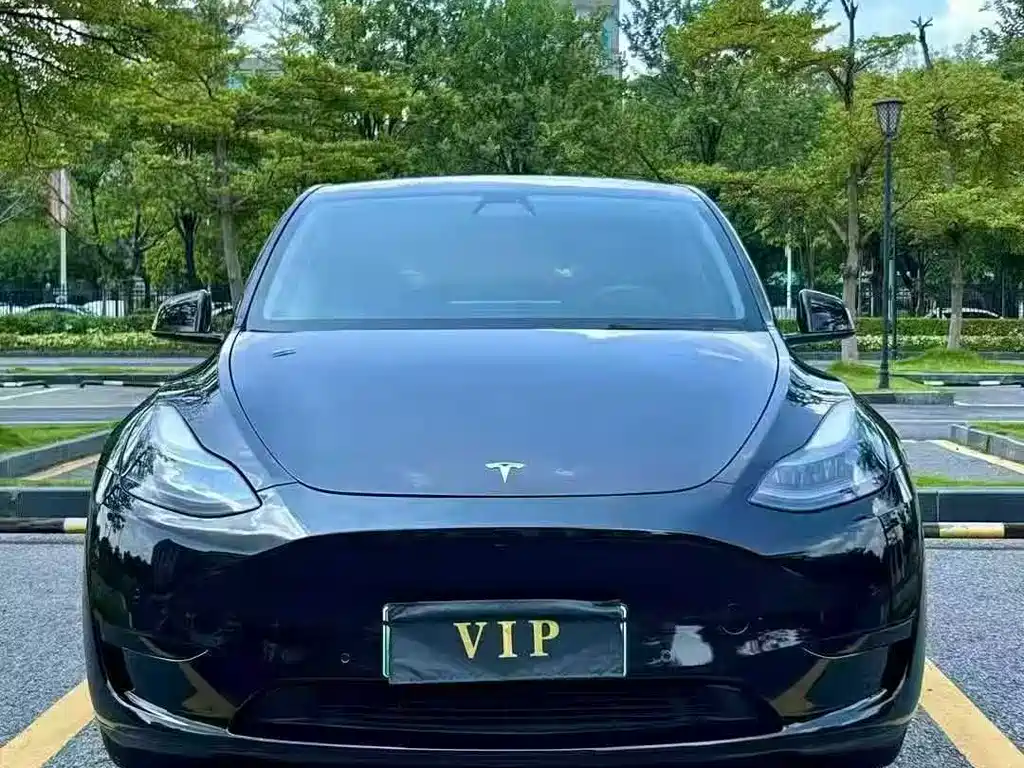Tesla Model Y — фото 2