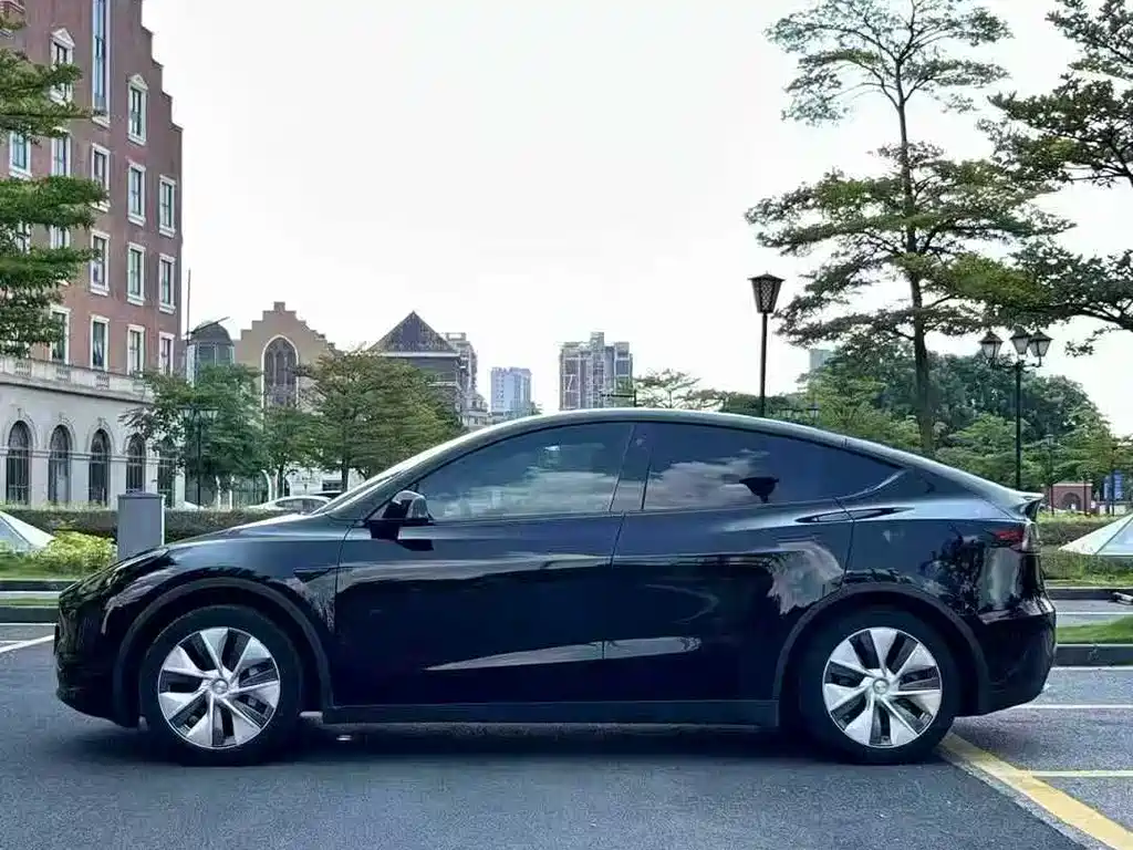 Tesla Model Y — фото 3