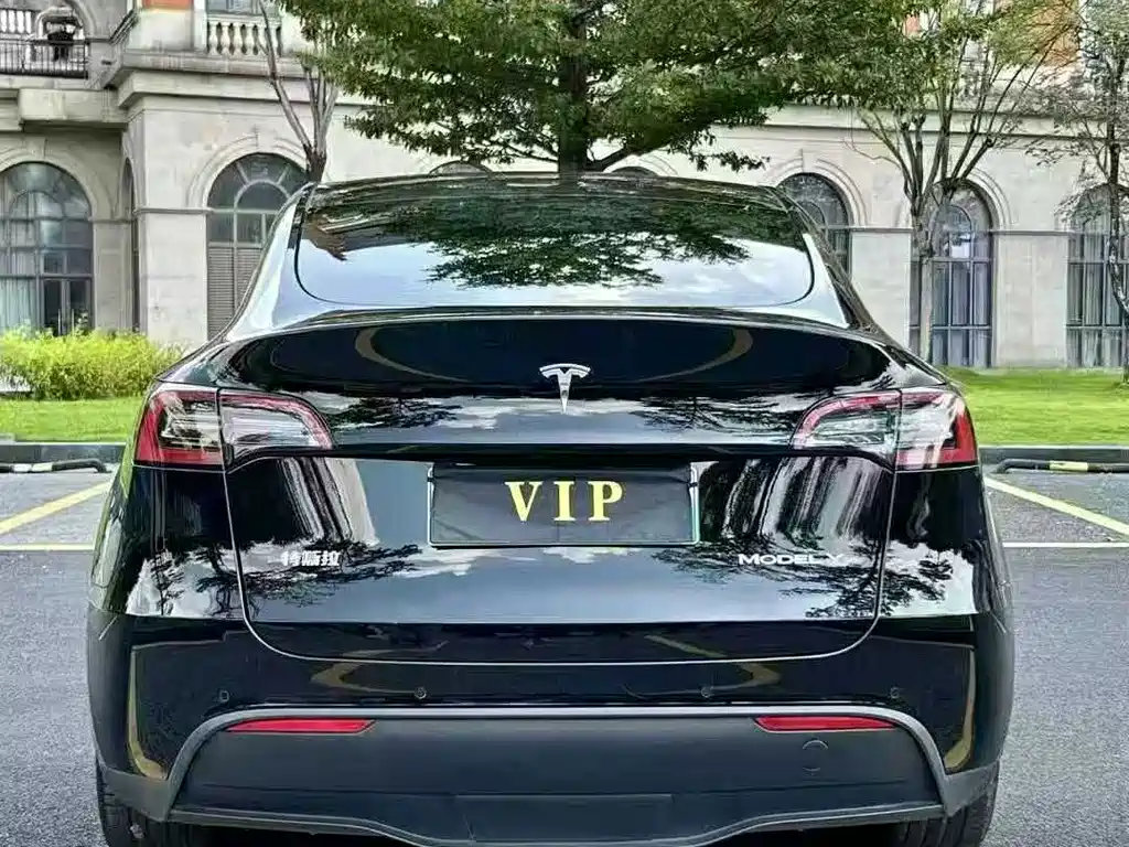 Tesla Model Y — фото 9